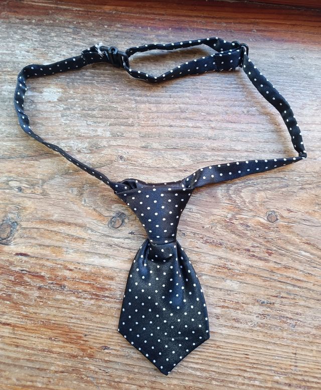 Kit festività per cane taglia media