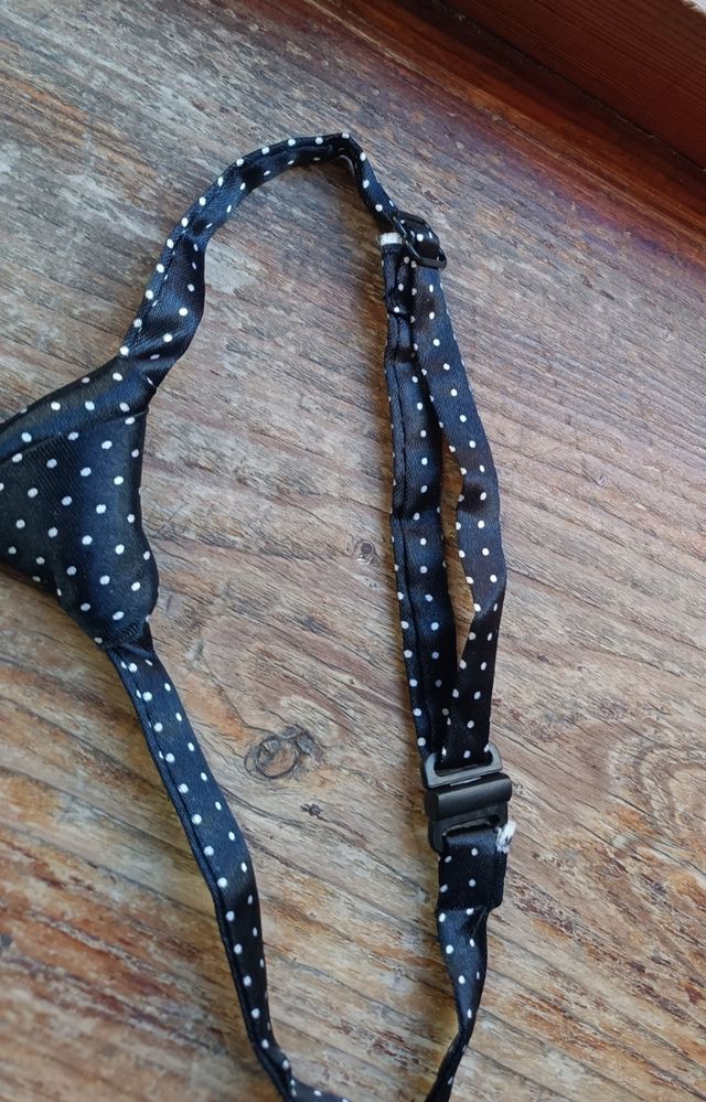 Kit festività per cane taglia media