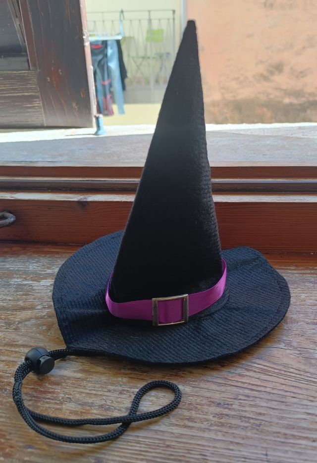 Kit festività per cane taglia media