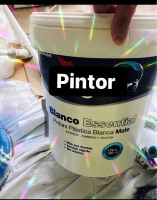 Pintor Económico