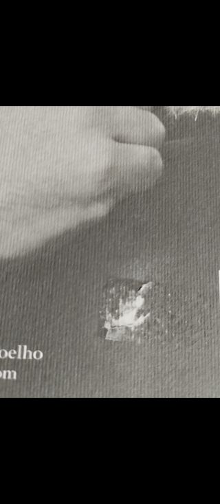 "Brida".Paulo Coelho.