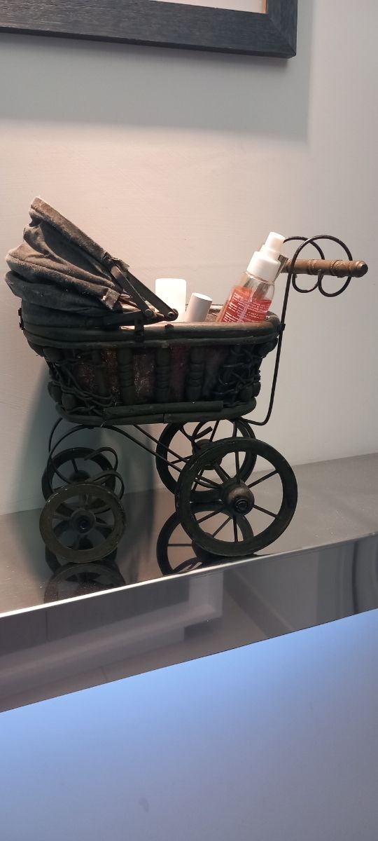 Carrozzina  porta oggetti