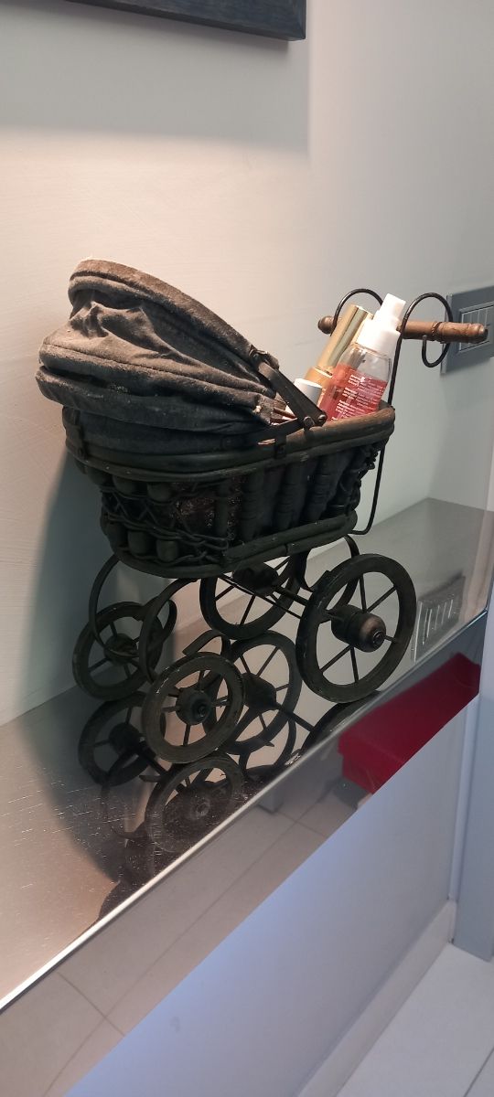 Carrozzina  porta oggetti