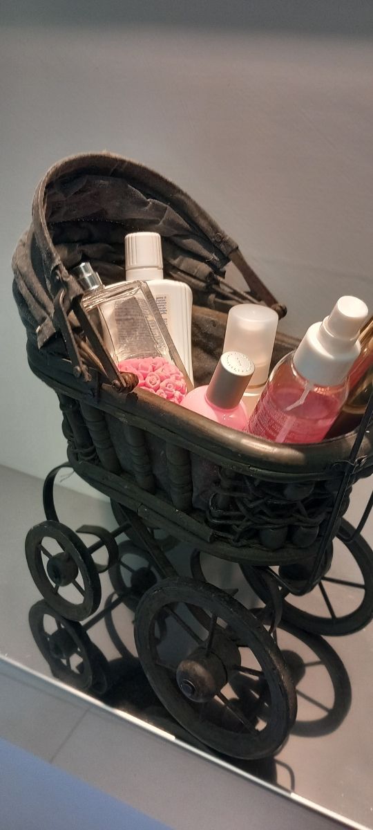 Carrozzina  porta oggetti