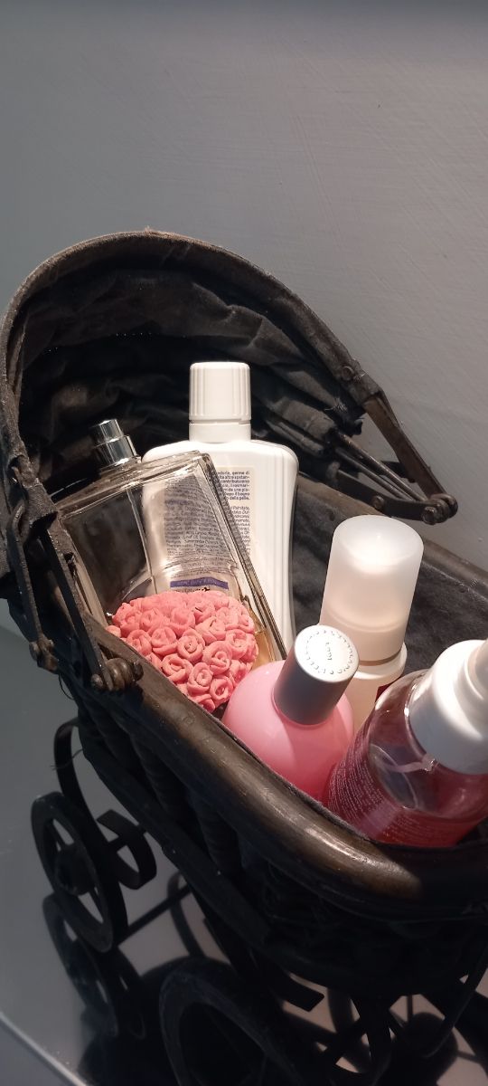 Carrozzina  porta oggetti