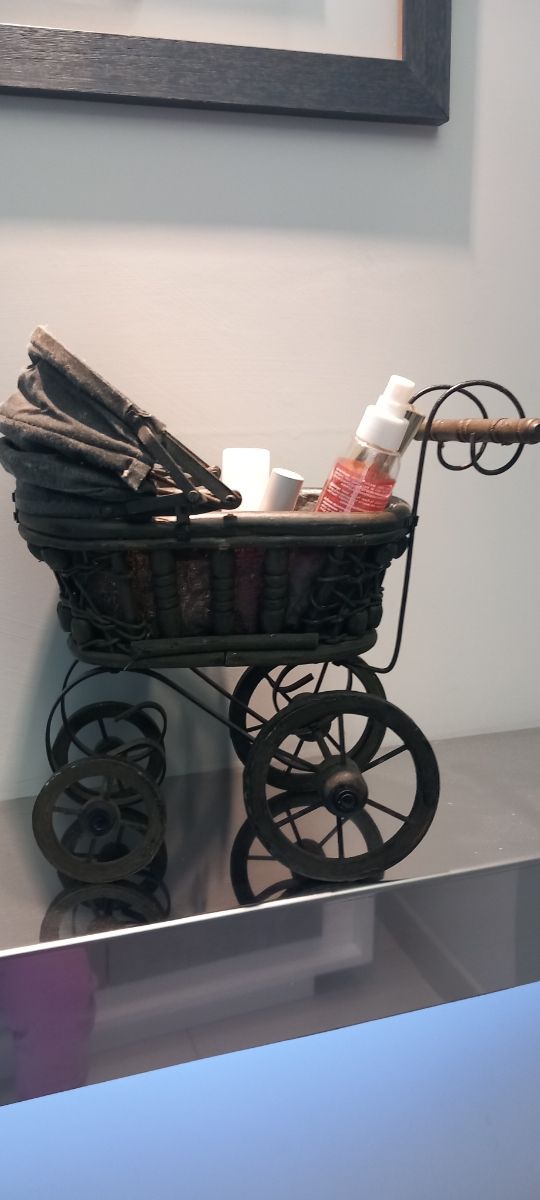 Carrozzina  porta oggetti