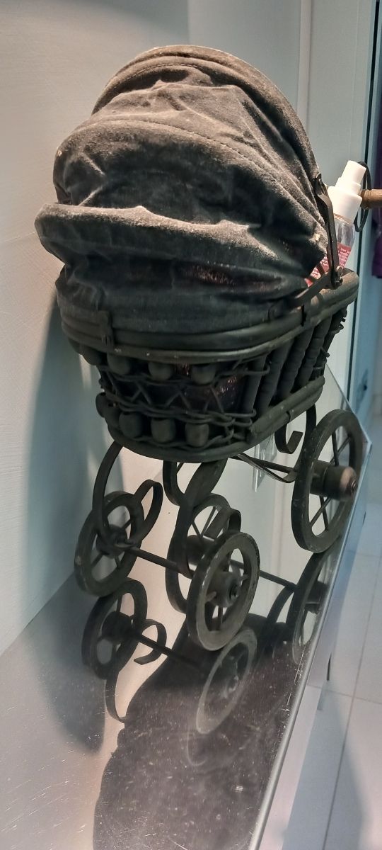 Carrozzina  porta oggetti