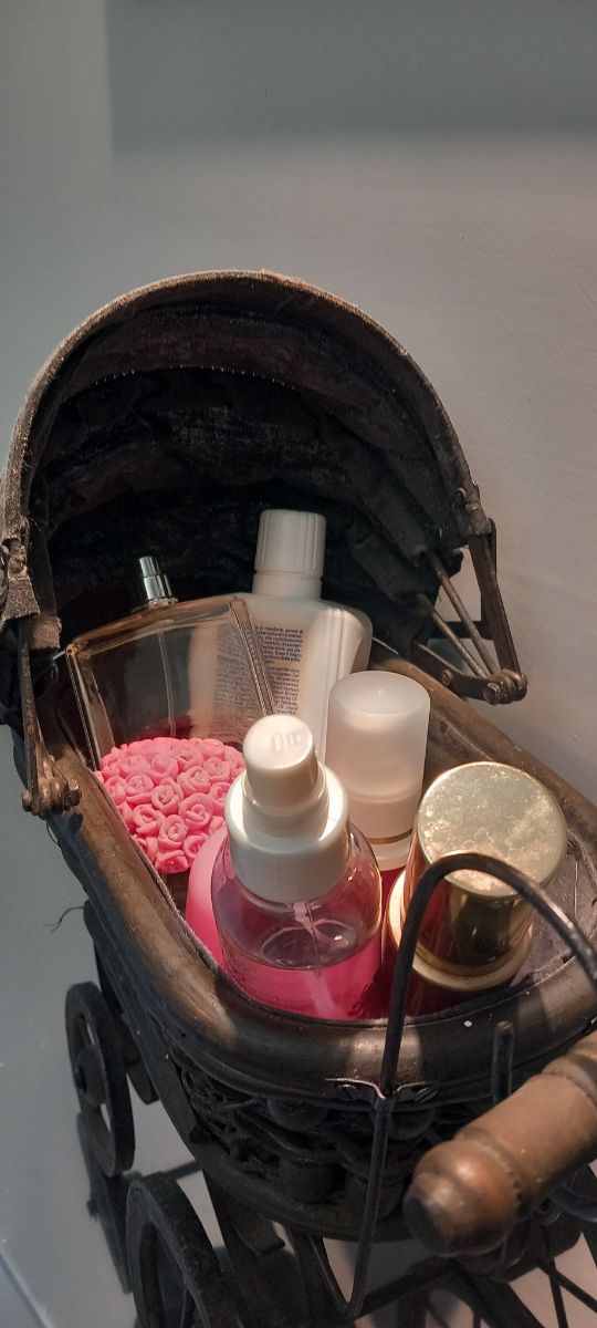 Carrozzina  porta oggetti