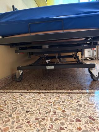Cama Articulada con Carro Elevador y Barandillas