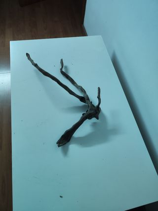 Troncos acuario