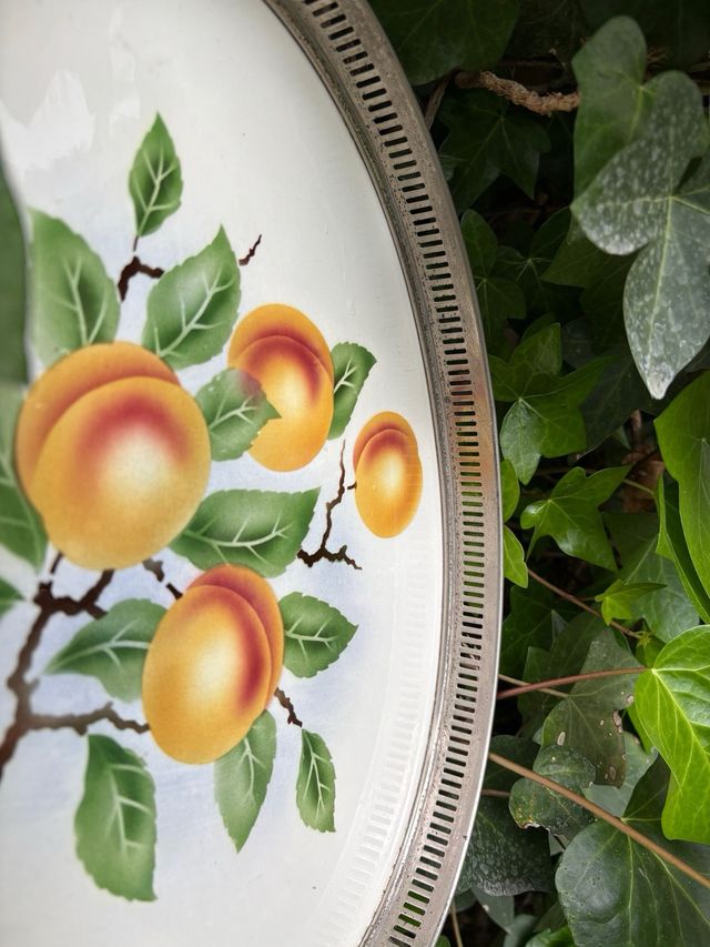 ANTICA BANDEJA GRANDE MODERNISTA