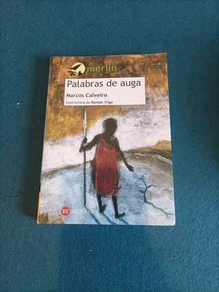 Libro palabras de auga