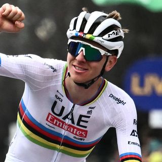 Scicon Aeroshade Kunken (Pogačar)