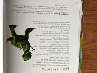 Libro infantil valores