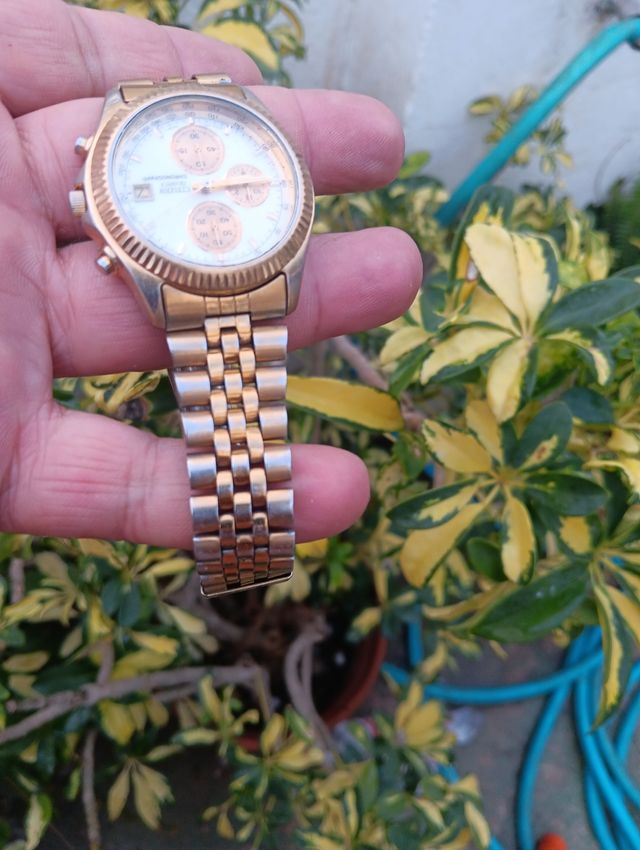 Reloj citizen crono.