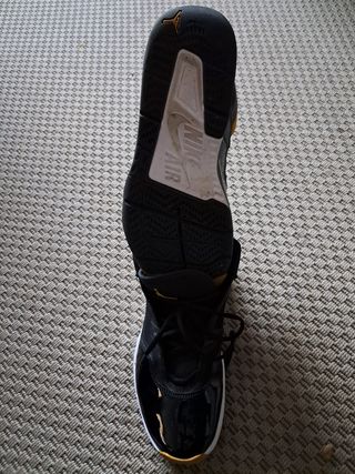 Nike Air Jordan flight