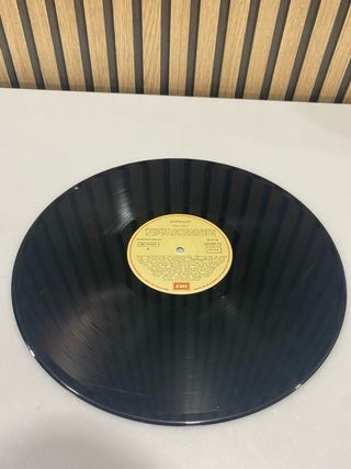 VINILO GARIBALDI MEX MIX
