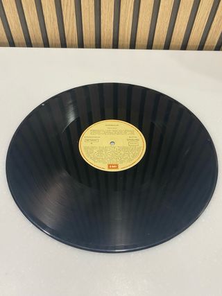 VINILO GARIBALDI MEX MIX
