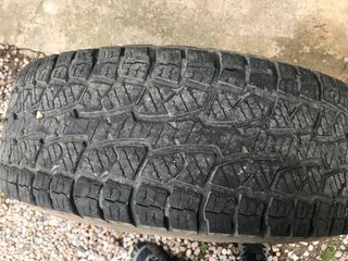 Ruedas y llantas 