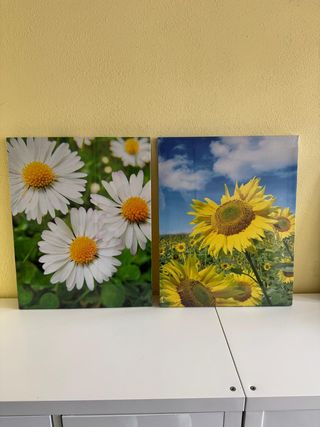 2 quadri fotografici su tessuto. Margarita