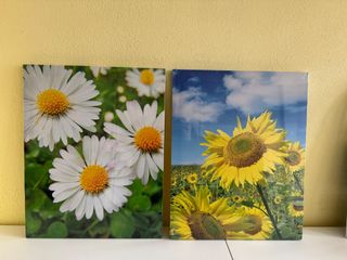 2 quadri fotografici su tessuto. Margarita