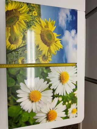 2 quadri fotografici su tessuto. Margarita