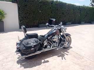 Harley Davidson Softail