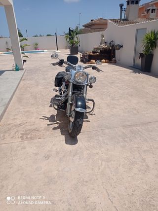 Harley Davidson Softail