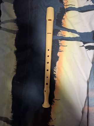 Funda de flauta del Barşa