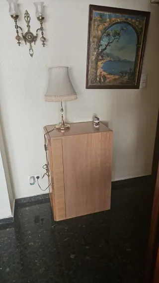 MUDANZAS Y PORTES, PODA,RETIRADA CHATARRA,RESIDUOS