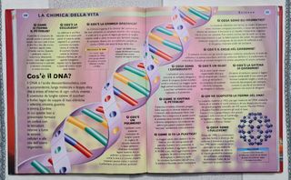 Il grande libro delle domande e risposte