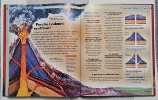 Il grande libro delle domande e risposte