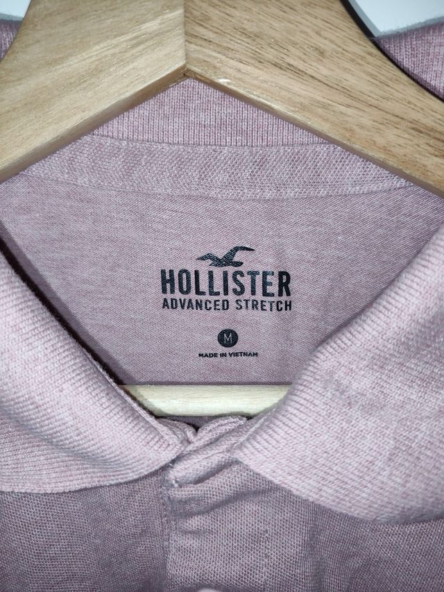 Polo Hollister