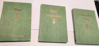 Lote libros de Bibi de Karin Michaelis