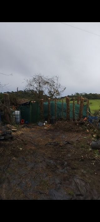 Desbroces,podas y más