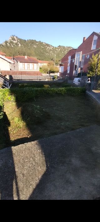 Desbroces,podas y más