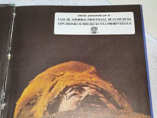 libro Don Quijote Ilustraciones de Gustavo Dore