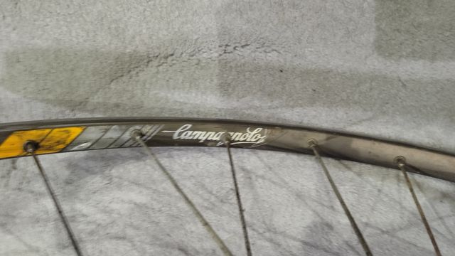 Rueda delantera Campagnolo Strada