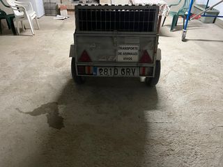 Remolque para perros.
