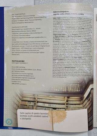 Focus Junior. E se fosse tutto vero?