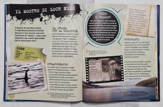 Focus Junior. E se fosse tutto vero?