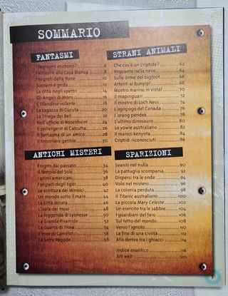 Focus Junior. E se fosse tutto vero?