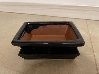 Vaso bonsai