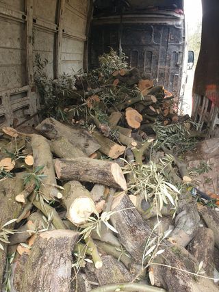 Leña de Olivo y Almendro 12 sentimos el kilo