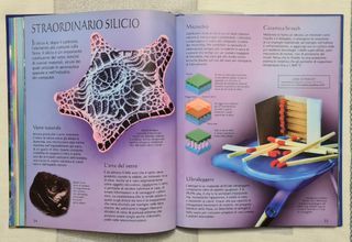 Misteri e meraviglie della scienza