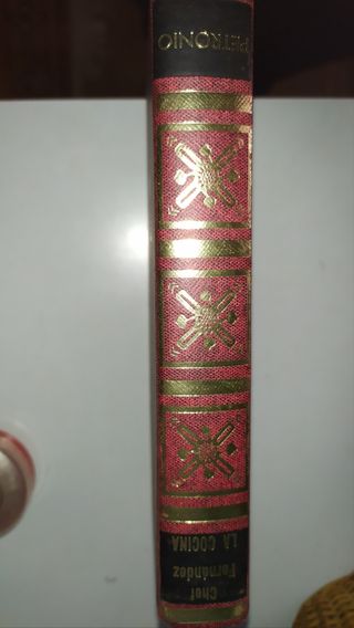 We Took to the Woods