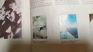 We Took to the Woods