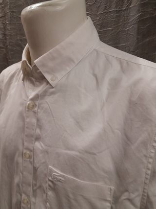 Camicia  Uomo lacoste taglia L
