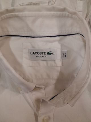 Camicia  Uomo lacoste taglia L