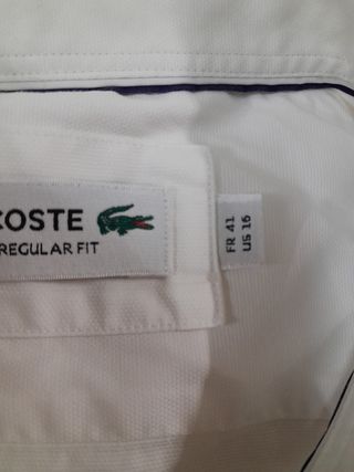 Camicia  Uomo lacoste taglia L